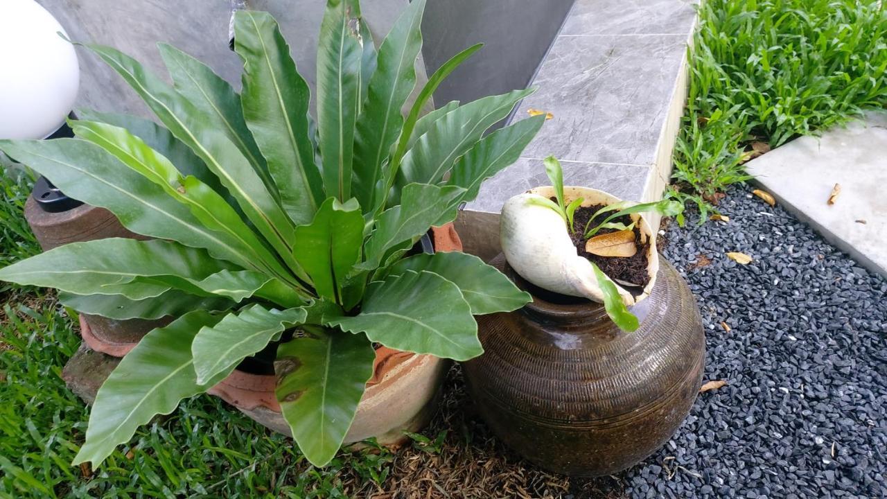 Marin' S Home Thalang Ngoại thất bức ảnh